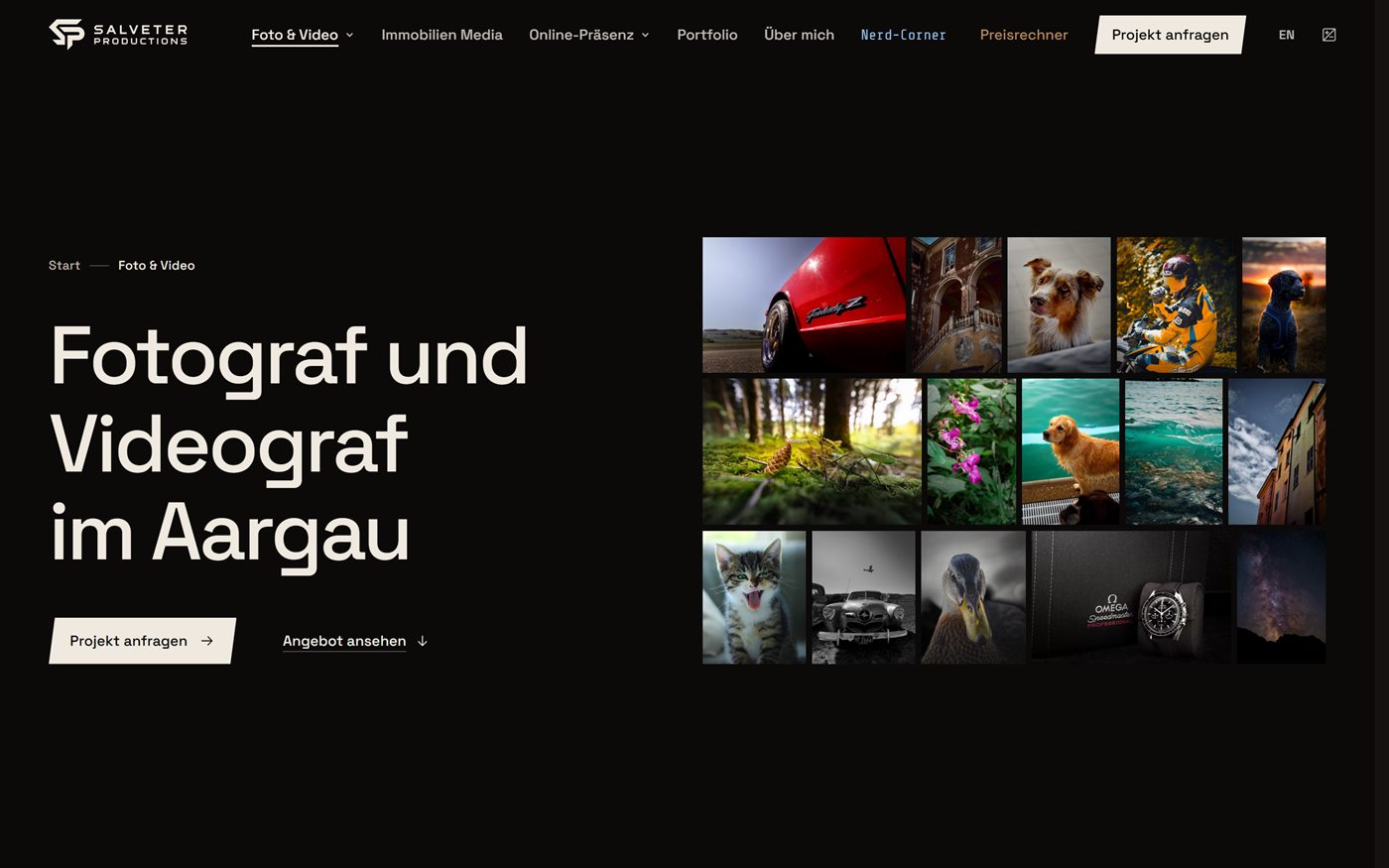 Bildschirmfoto der Seite Foto & Video von salveterproductions.ch am Desktop: Schriftzug, Kontaktbogen aus fünfzehn Aufnahmen, Navigation