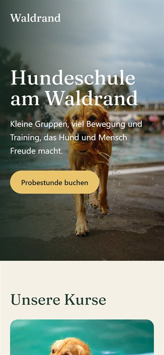 Dieselbe Seite auf dem Handy