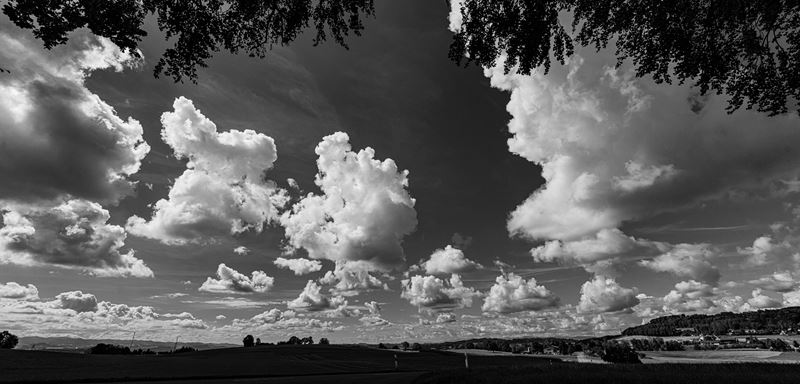 Schwarzweiss-Panorama: Quellwolken über einer weiten Landschaft, oben von Ästen gerahmt